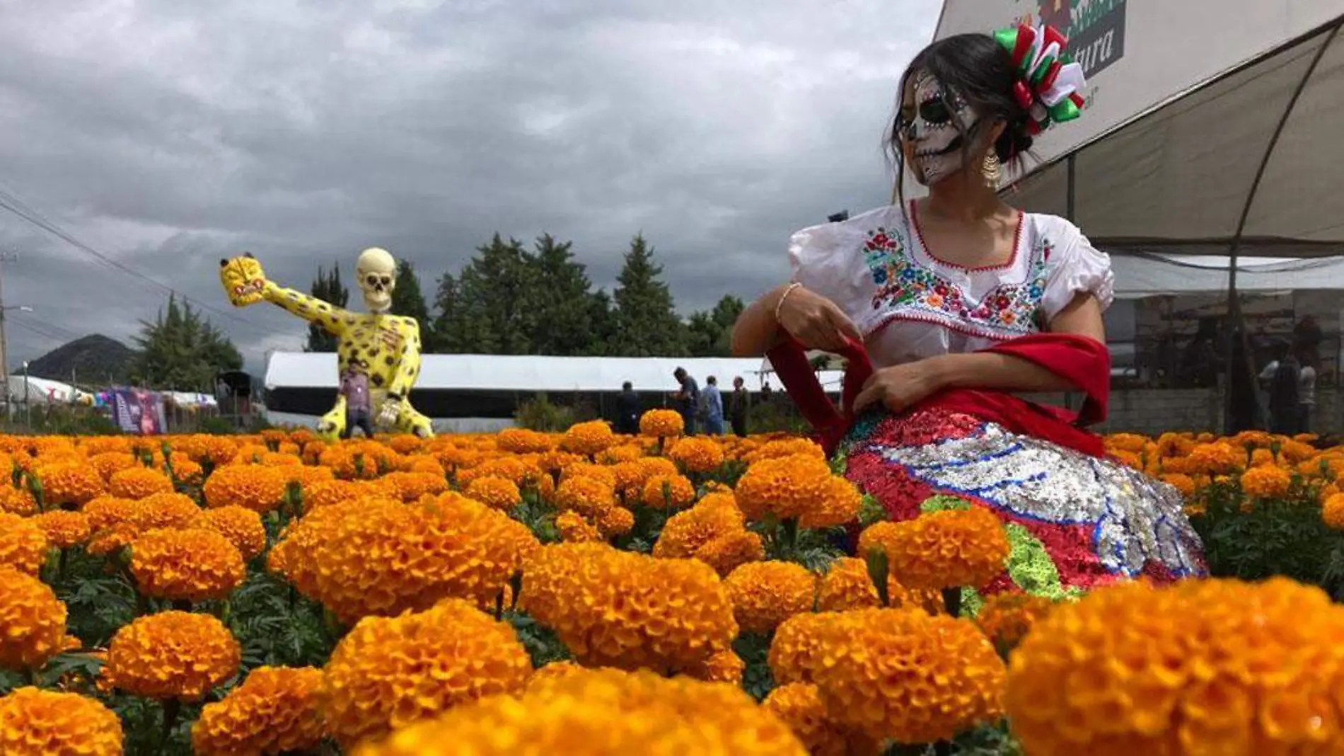 Flor de Cempasúchitl, donde comprarla en Puebla 